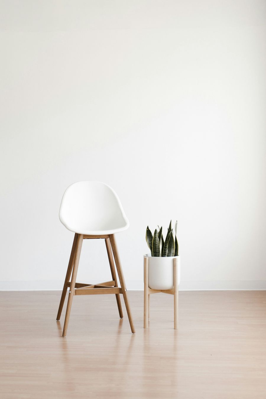Light wood-look flooring with a ladder and a plant